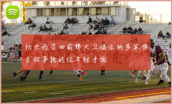切尔西召回前锋大卫福法纳多家俱乐部争抢这位年轻才俊